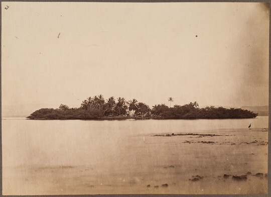 A sepia-toned photograph of a small island covered with palm trees and vegetation and a bird sitting on a sandbar on the near shore.