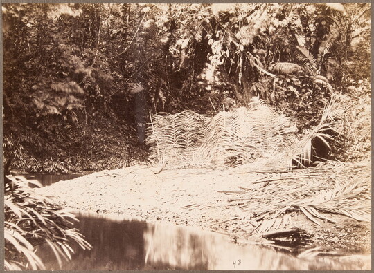 A sepia-toned photograph of a human-made barrier of light-colored palm fronds on a river shoreline.