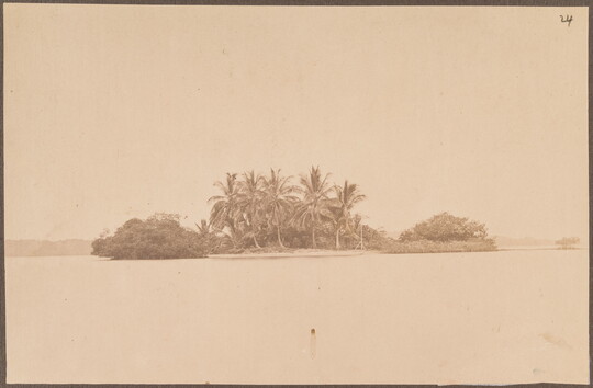 A sepia-toned photograph of an island covered in vegetation and palm trees.
