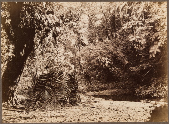 A sepia-toned photograph of a tentlike structure made of palm fronds in a forest next to a body of water.