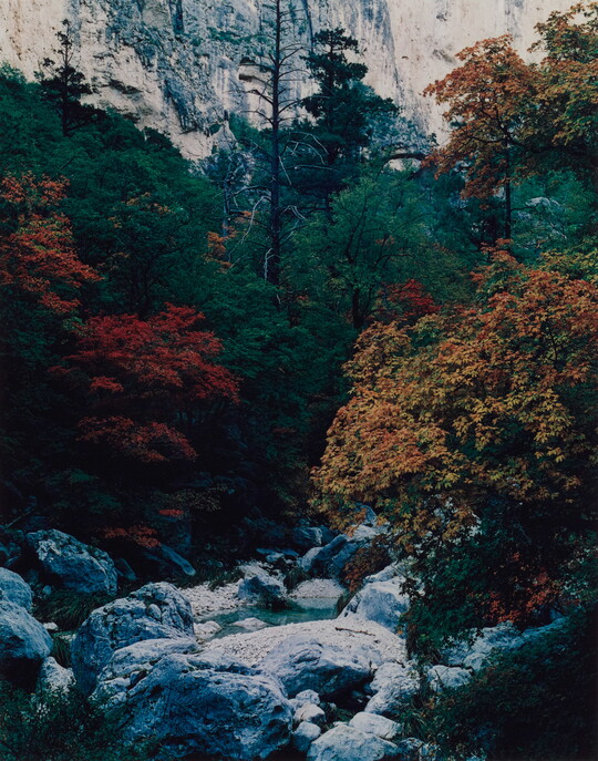 A color photograph of boulders at the bottom of a ravine surrounded by red, orange, and green foliage.