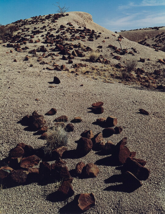 A color photograph of a sand dune with low vegetation and rocks scattered on it.