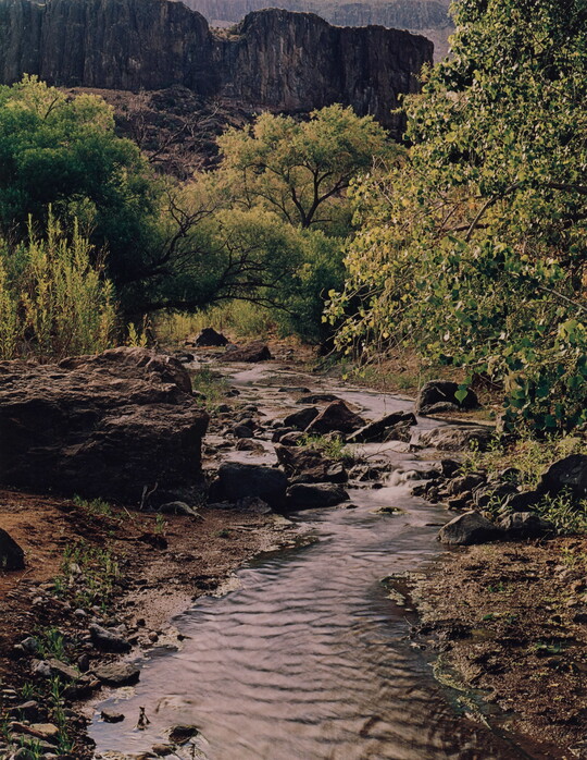 A color photograph of a creek running through a rocky landscape with green vegetation and a large cliff in the background.