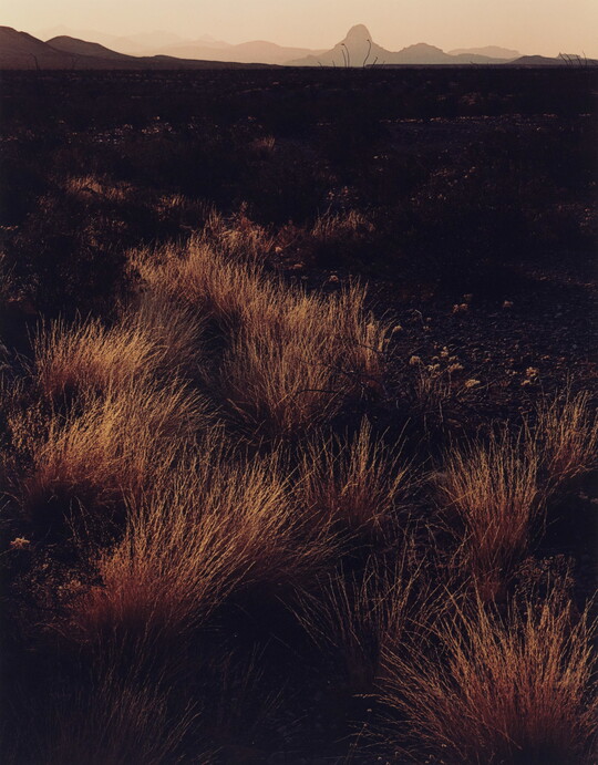 A color photograph of brown and gold grass on a scrubby plain with mountains in the distance.