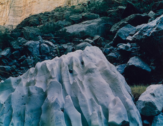 A color photograph of a large, white rock full of ripples and wrinkles against a dark rocky cliff.
