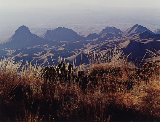 A color photograph of brown and gold grass on a hill overlooking purple and blue mountains.