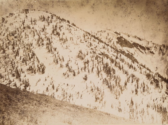 A sepia-toned photograph of snow-covered mountains with pine trees emerging from the snow.