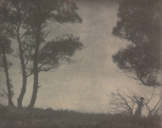 A black-and-white photograph of several trees and a woman, all in silhouette, against a cloudy sky.