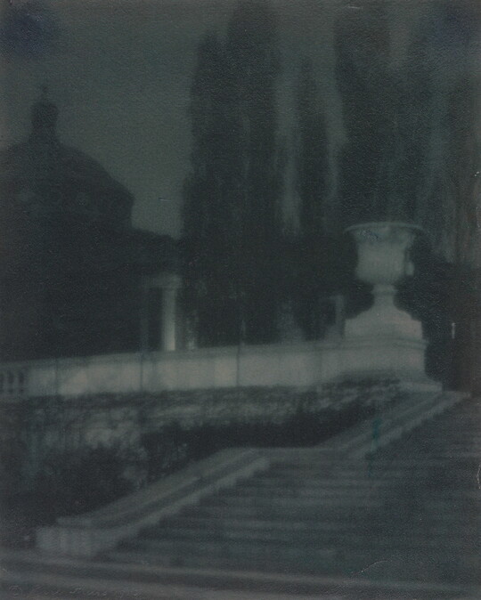 A black-and-white photograph of a set of stone stairs, a large vase, and a large domed building next to tall trees.