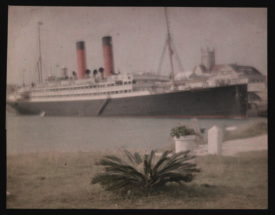 A color image of a large ship docked in a harbor; grass and plants in the foreground.