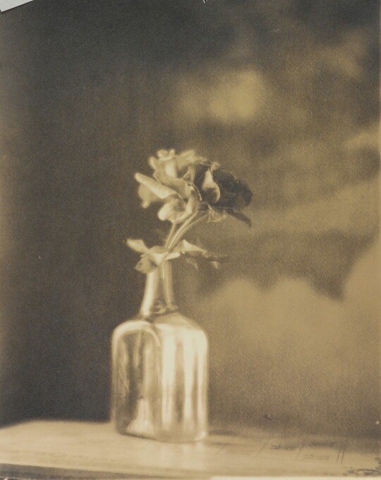A sepia-toned, soft-focus photograph of a glass bottle with a single rose in it.