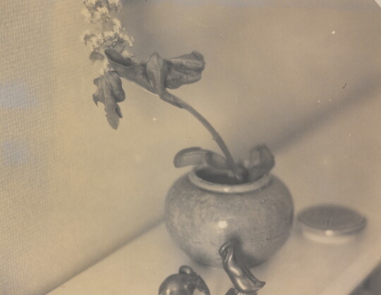A sepia-toned photograph of a small flower in a pot resting on a shelf next to several small figurines.
