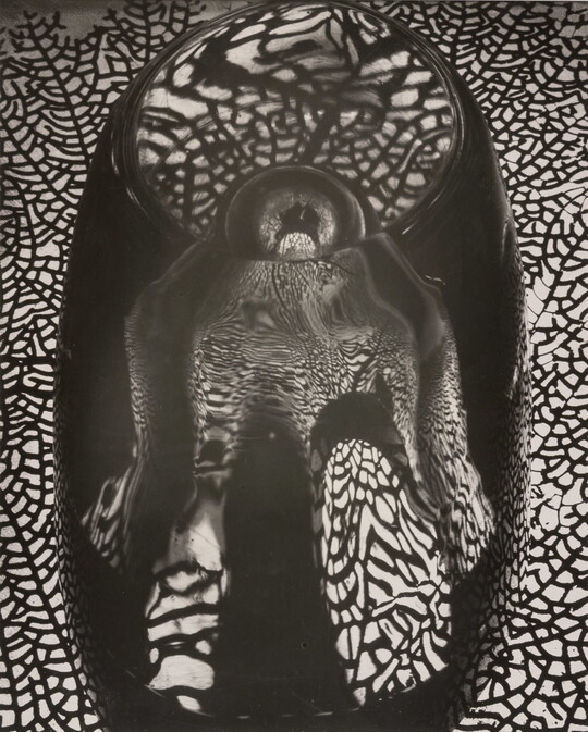 An abstract black-and-white photograph with mirrored reflections of coral, like a spider web, in an anthropomorphic form.