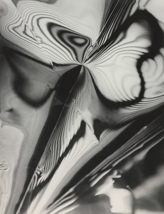 An abstract black-and-white photograph of an organic butterfly-like shape with high-contrast nested contour lines expanding through the frame.