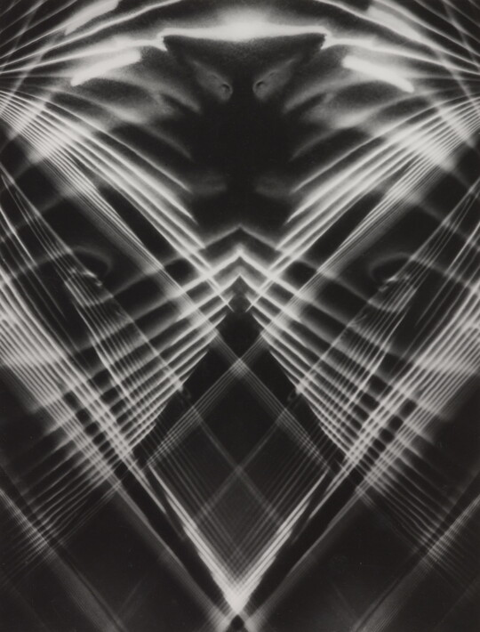 An abstract black-and-white photograph of stark white lines making a crisscross pattern that mimics a bird's face on a black background.