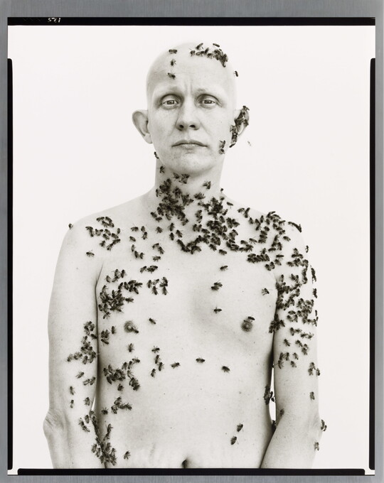 A black-and-white portrait photograph of a bald, shirtless White man covered in bees on his arms, torso, neck, and head.