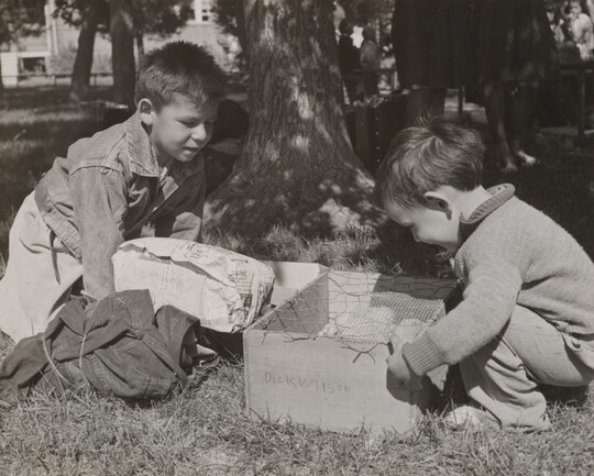 A black-and-white photograph of two Indigenous children looking into a cardboard box in grass under a tree. 