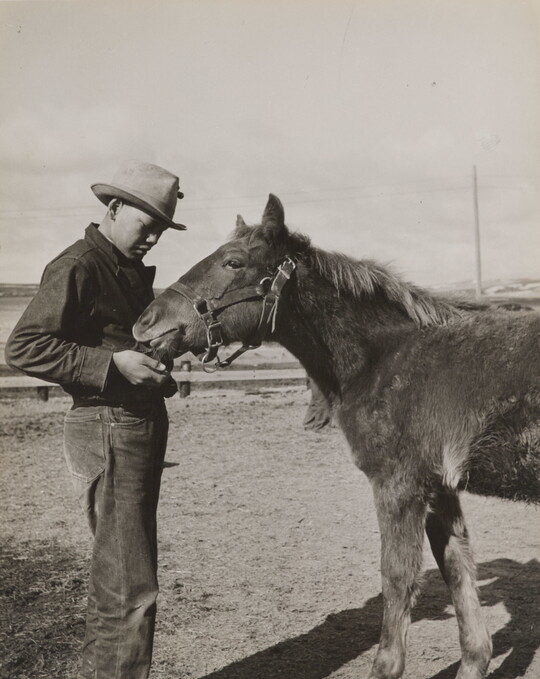 A black-and-white photograph of a young Indigenous man feeding a pony from his hand. 