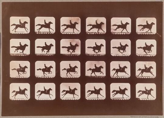 A series of black-and-white photographs of a person riding a horse arranged in four rows of six images.