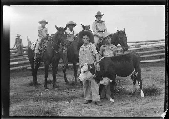 A black-and-white image of three boys on horseback behind two boys standing next to a roped calf.