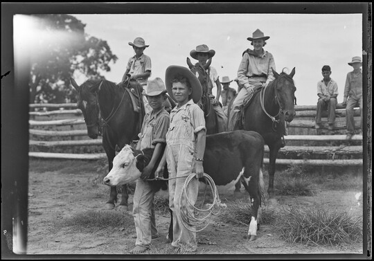 A black-and-white image of three boys on horseback behind two boys standing next to a roped calf.