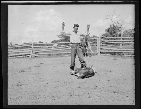 A black-and-white image of a White man standing with his hands in the air next to a roped calf on the ground and a horse in the background.