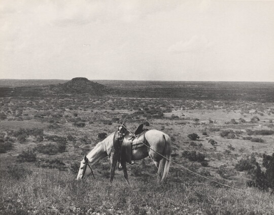 A black-and-white photograph of a grassy landscape with a saddled horse grazing in the foreground.