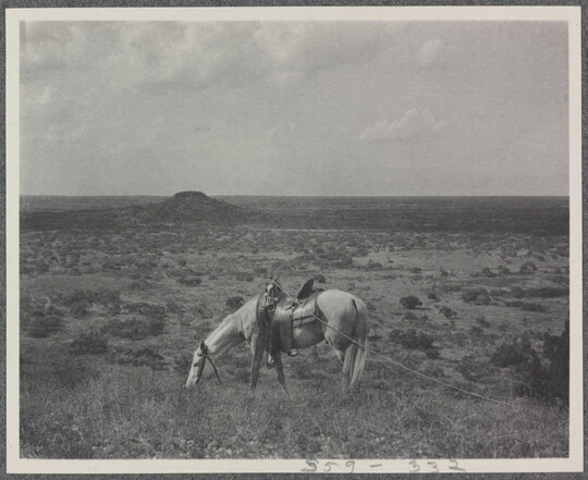 A black-and-white photograph of a grassy landscape with a saddled horse grazing in the foreground.