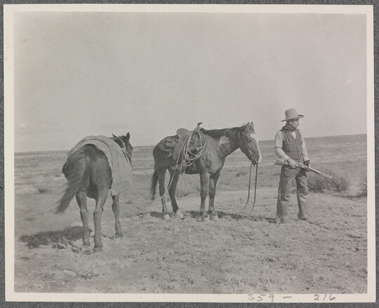 A black-and-white photograph of two saddled horses and a man, holding a rifle, standing on a grassy plain.