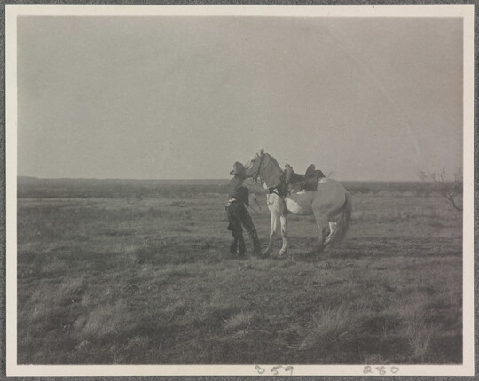 A black-and-white photograph of a cowboy trying to calm a white horse.
