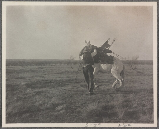 A black-and-white photograph of a cowboy trying to calm a white horse.