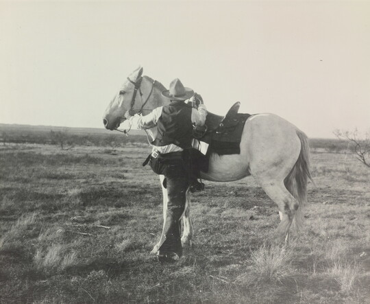 A black-and-white photograph of a cowboy trying to calm a white horse.