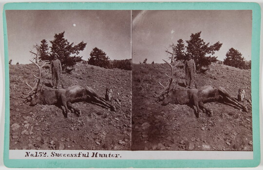 Two almost identical side-by-side black-and-white photographs of a man standing behind a large dead elk laying on the ground.