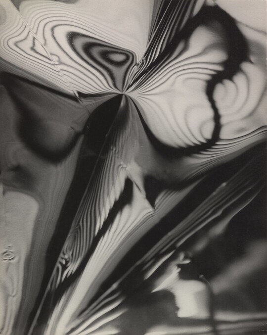 An abstract black-and-white photograph of an organic butterfly-like shape with high-contrast nested contour lines expanding through the frame.