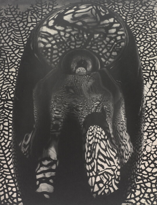 An abstract black-and-white photograph with mirrored reflections of coral like a spider web in an anthropomorphic form.