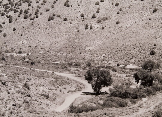 A black-and-white photograph of a dirt road winding through hills covered with small shrubs and trees.
