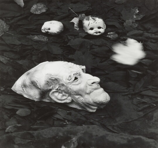 A black-and-white photograph of a rubber mask of an old man and a several doll heads in dark, leafy water.