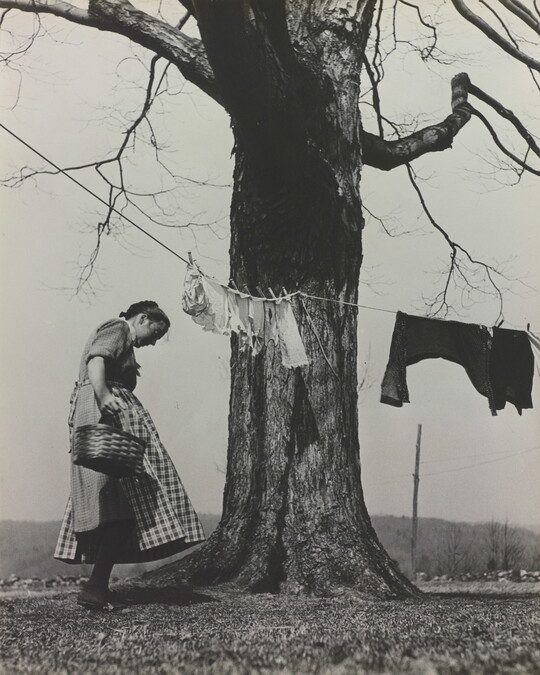 A black-and-white photograph of a White woman in a dress and apron standing next to a large tree with a clothesline and clothes hanging from it.