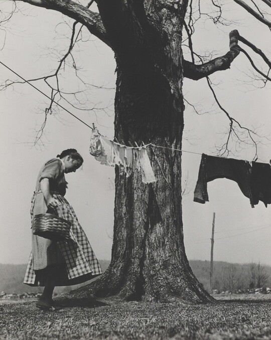 A black-and-white photograph of a White woman in a dress and apron standing next to a large tree with a clothesline and clothes hanging from it.