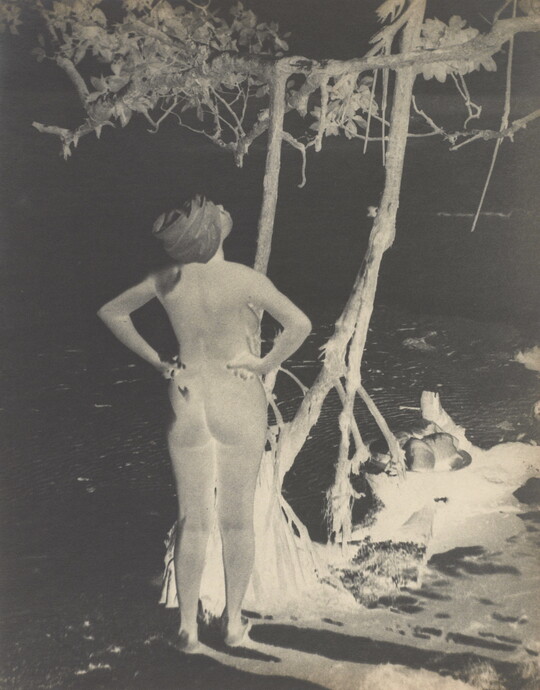 A black-and-white photo negative of a nude woman, hands on hips, with a swath of fabric wrapped around her head looking up at a tree.