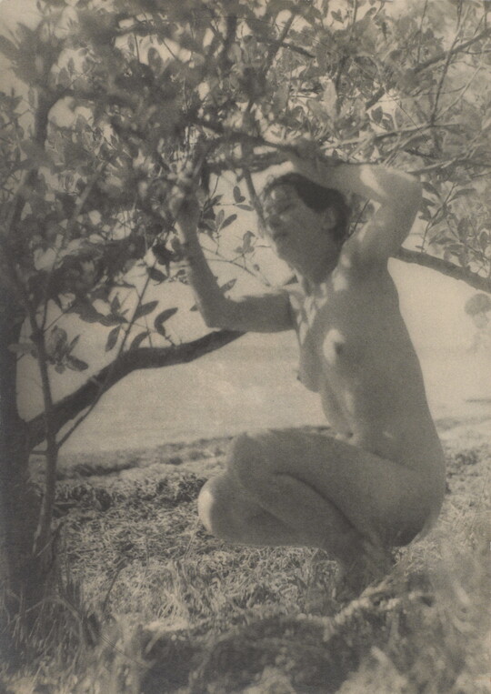 A black-and-white photograph of a nude White woman crouched under a tree with arms raised to grab the branches above her.