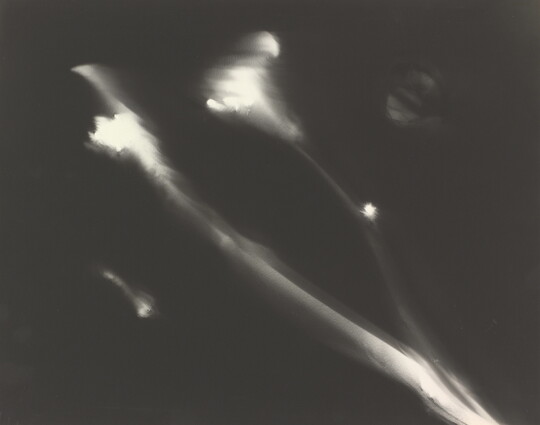 An abstract black-and-white photograph of two blurry, white flower stems against a black background.