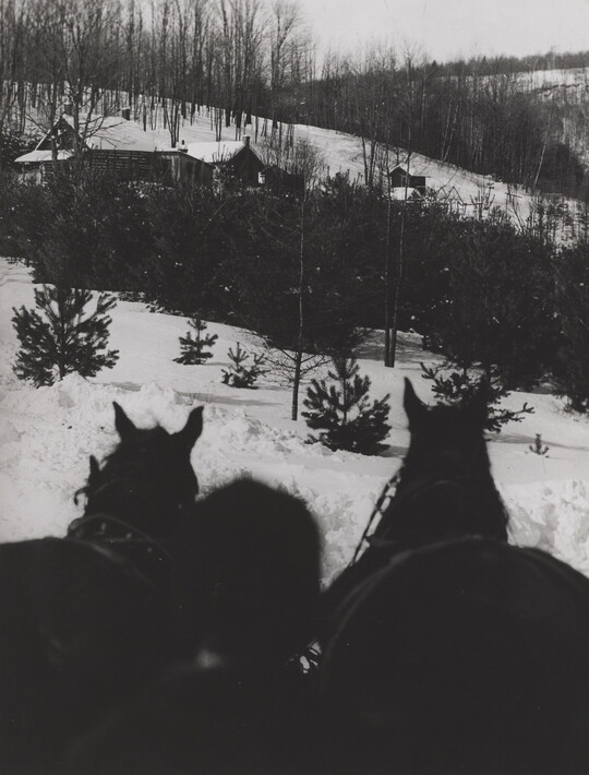 A black-and-white photograph of a snowy countryside as seen from behind the head of the driver and two horses.