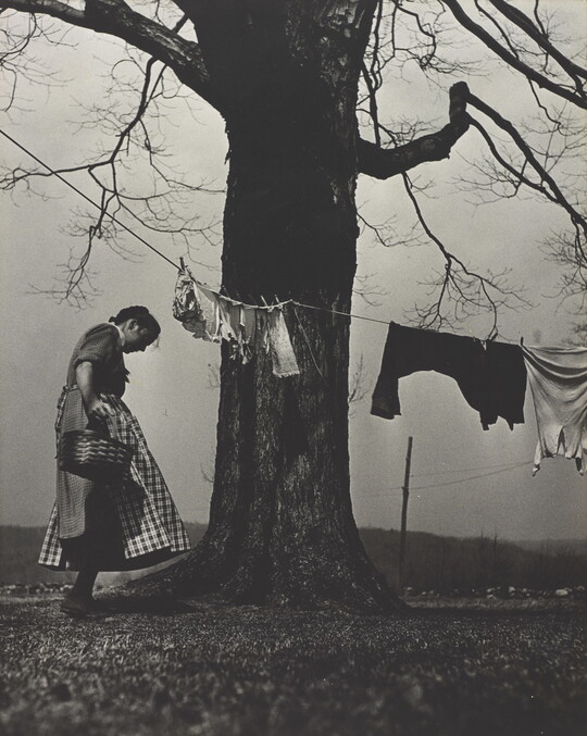 A black-and-white photograph of a White woman in a dress and apron standing next to a large tree with a clothesline and clothes hanging from it.