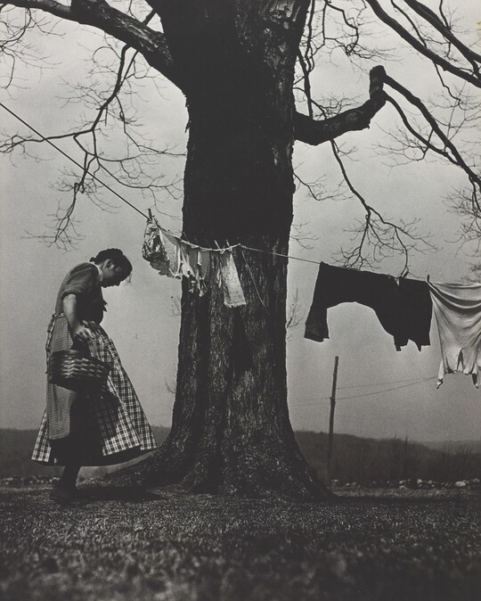 A black-and-white photograph of a White woman in a dress and apron standing next to a large tree with a clothesline and clothes hanging from it.