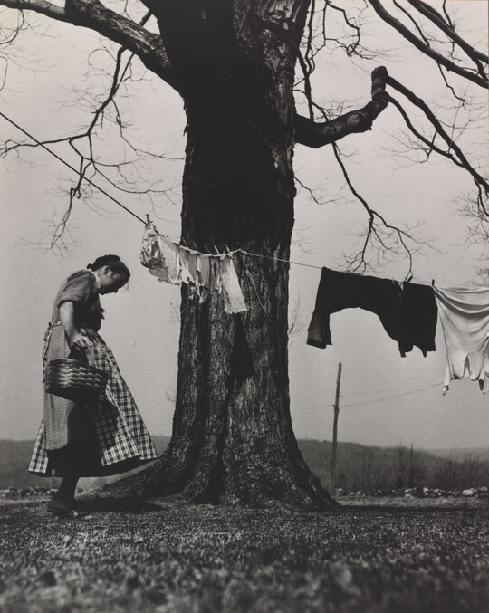 A black-and-white photograph of a White woman in a dress and apron standing next to a large tree with a clothesline and clothes hanging from it.
