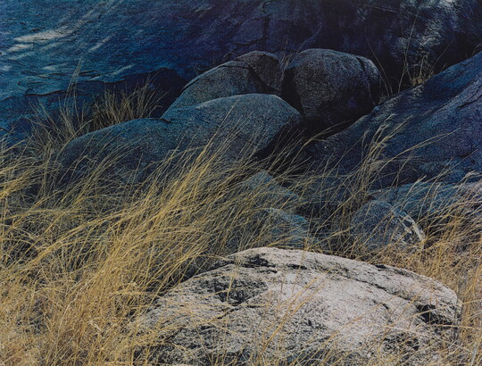 A color photograph of several large weathered stones with tall golden grass growing up between them.