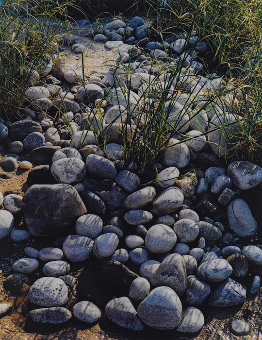 A color photograph of round, smooth stones in various blue-greys among long grass and sand.
