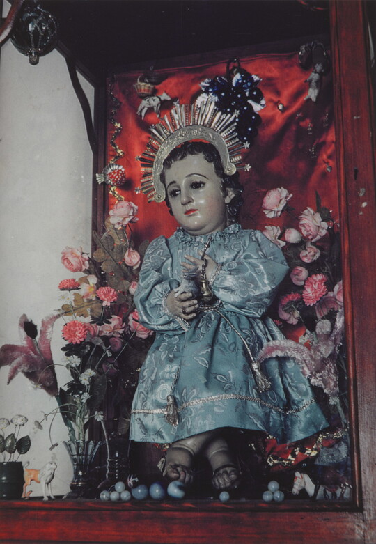 A color photograph of a child Jesus doll wearing a blue robe and gold crown, and surrounded by small pink flowers.