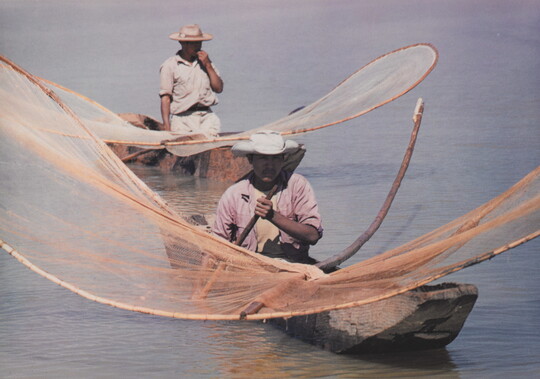 A color photograph of men in canoes on a lake holding large, curved nets on wood frames out over the water.